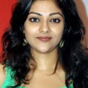 Abhirami Gopikumar oyuncusunun filmleri