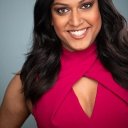 Aneesh Sheth oyuncusunun filmleri