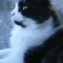 Aslan Parçası oyuncusunun filmleri