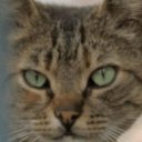 Bengü oyuncusunun filmleri