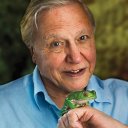 David Attenborough oyuncusunun filmleri
