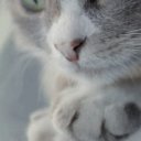 Duman oyuncusunun filmleri