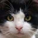 Gamsız oyuncusunun filmleri