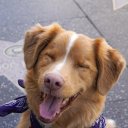 Indy oyuncusunun filmleri