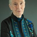 Jane Goodall oyuncusunun filmleri