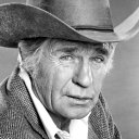 Jim Davis oyuncusunun filmleri