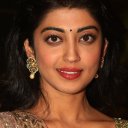 Pranitha Subhash oyuncusunun filmleri