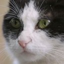 Psikopat oyuncusunun filmleri