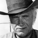 Robert J. Wilke oyuncusunun filmleri