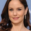 Sarah Wayne Callies oyuncusunun filmleri
