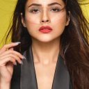 Shehnaaz Gill oyuncusunun filmleri