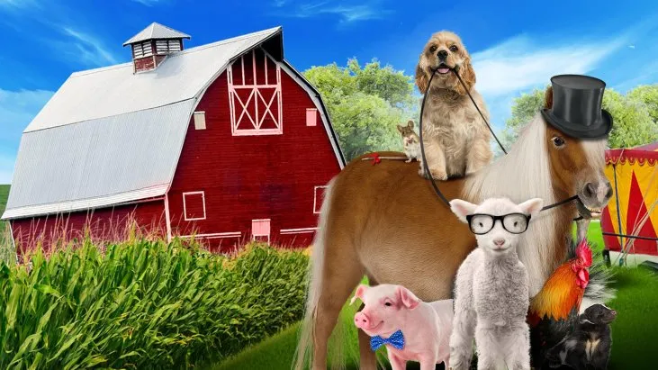 Köpek ve Midilli izle