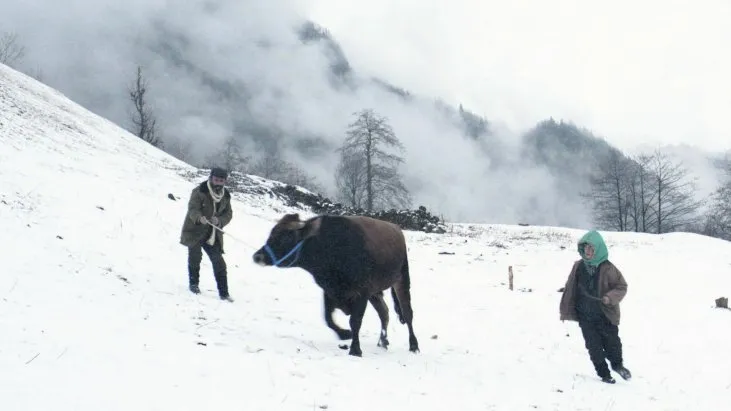 Kalandar Soğuğu izle