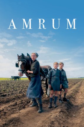 Amrum izle