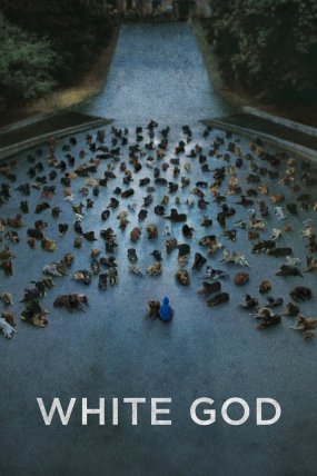 Beyaz Tanrı izle