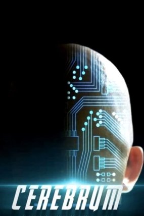 Cerebrum izle