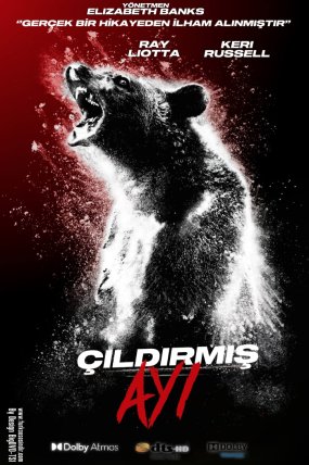 Çıldırmış Ayı izle