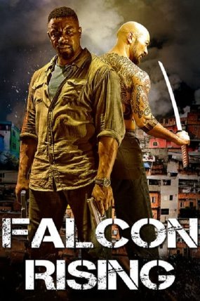 Falcon Rising izle
