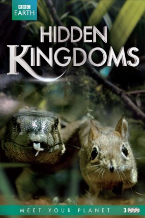 Gizli Krallık izle