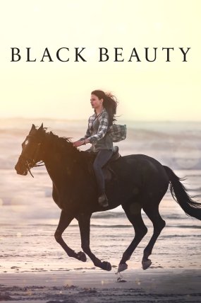 Black Beauty izle