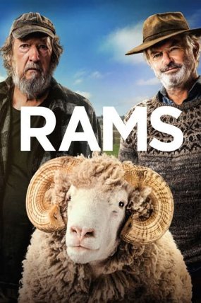 İnatçılar izle