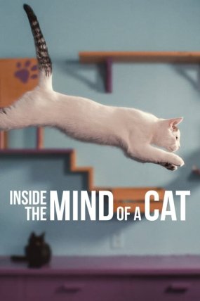 Inside the Mind of a Cat izle