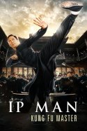 Ip Man: Kung Fu Master izle