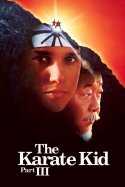 The Karate Kid Part III izle