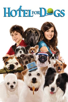 Köpek Oteli izle