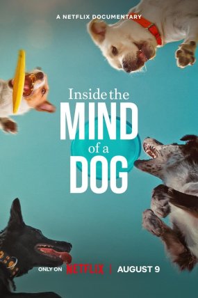Köpeklerin Aklından Neler Geçiyor? izle