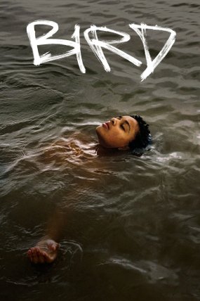 Kuş izle