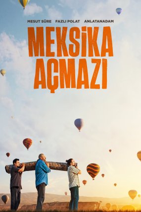 Meksika Açmazı izle