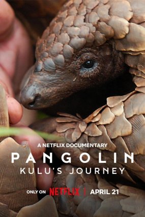 Pangolin: Kulu'nun Yolculuğu izle