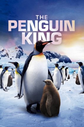 Penguen Kral izle