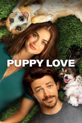 K&ouml;pek Sevgisi izle