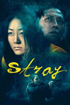 Stray izle