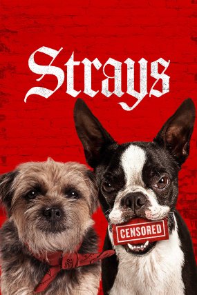 Strays izle