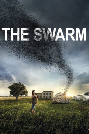 The Swarm izle