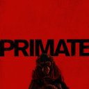 Primat izle
