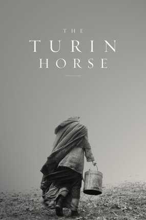 Torino Atı izle